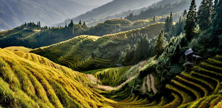 LongJi One Art Hotel