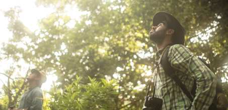 Los Llanos Birdwatching