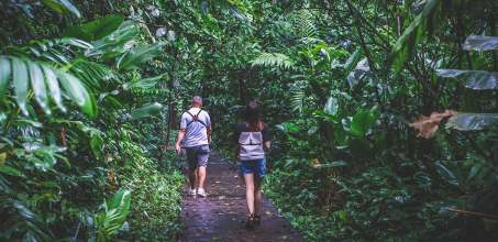 Day hike on the trails of Tortuga Lodge