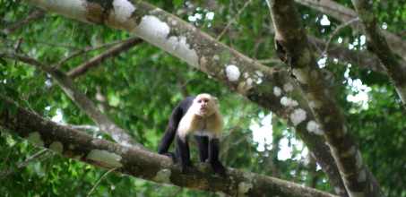 Manuel Antonio National Park