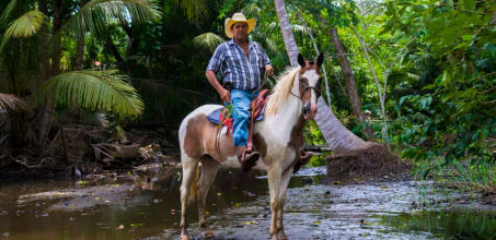Saddle up at Hacienda Aromal