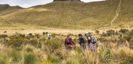 Hiking and trekking at Hacienda Zuleta