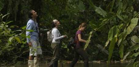 Hiking trails at Mashpi