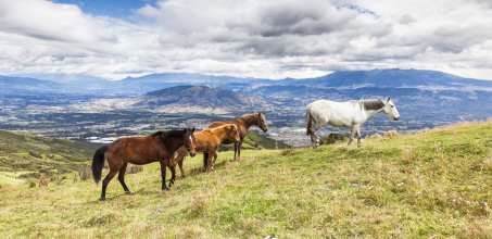 Horse riding at Hacienda Zuleta