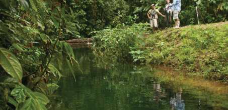 Night walks at Mashpi