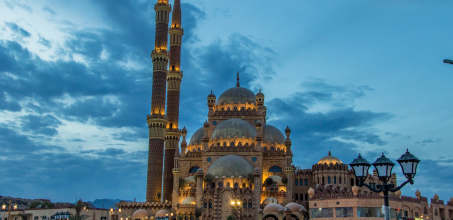 Evening City Tour