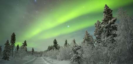 Private reindeer sleigh ride to see the Northern Lights