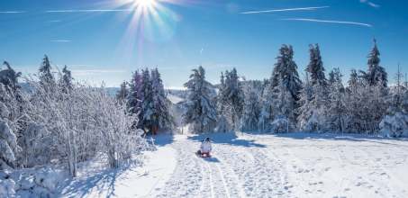 Sledging & Pony Sledging from Le Coucou