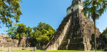Tikal Tour with Restaurant Lunch
