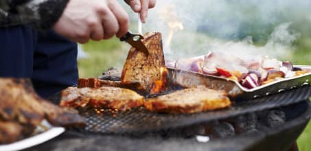 Wilderness barbecue