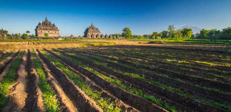Cycling Prambanan Village