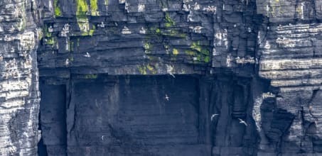 Beneath the Cliffs of Moher