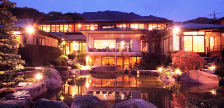 The Sekitei