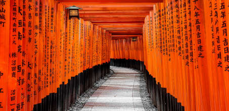 Fushimi Inari's Endless Gates