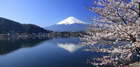 Full Day Hakone Hiking Through History