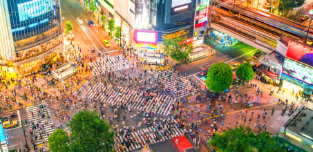 Half Day Tour of Western Tokyo