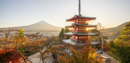 Mt. Fuji Frames and Pagoda Views