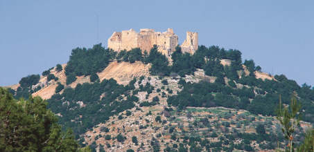 Ajloun Castle
