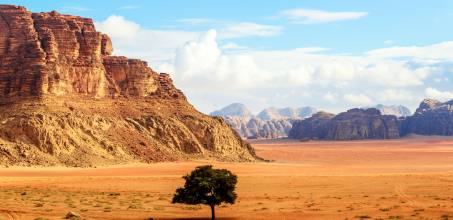 Wadi Rum Jeep Safari