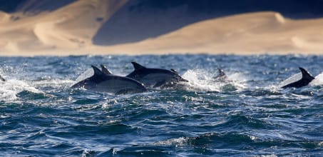 Seas4Life Ocean expedition