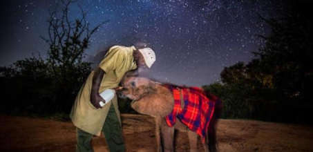 The Sheldrick Wildlife Trust