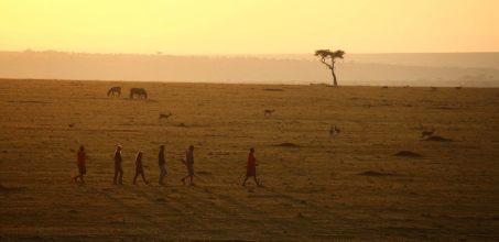 Walking Safari