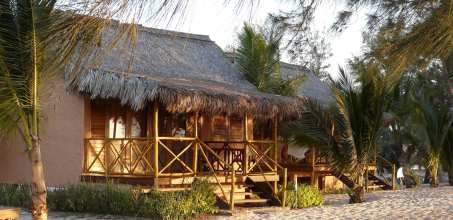 Palissandre Côte Ouest