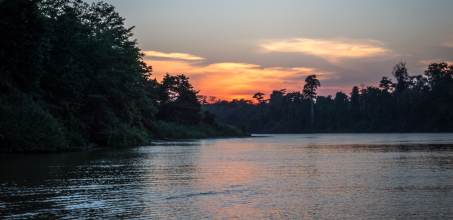 Kinabatangan River - Afternoon River Cruise