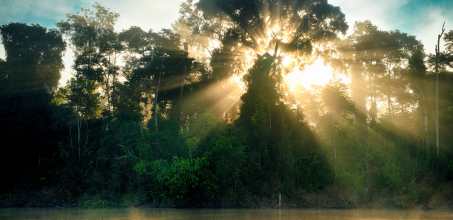 Sukau Rainforest Lodge - Kelenanap Oxbow Lake