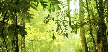 Tabin - Lipad Waterfall