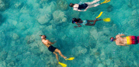 Family picnic with guided snorkelling