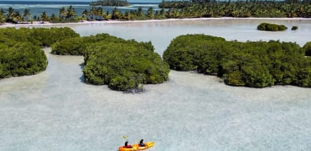 Mangrove Kayak Experience