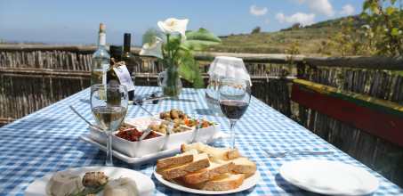 Rustic Farmer's lunch on a Private Olive Grove