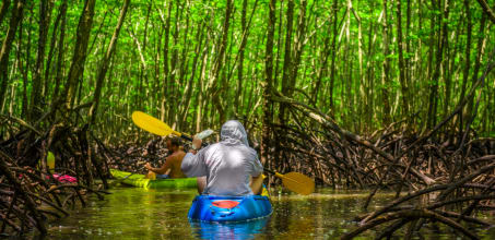 From kayak to kitchen