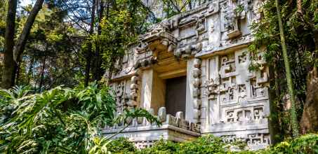 National museum of Anthropology out of hours private tour