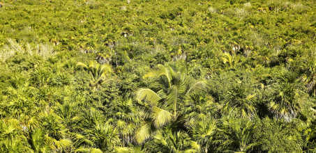 Sian Ka'an Biosphere Reserve Private Tour