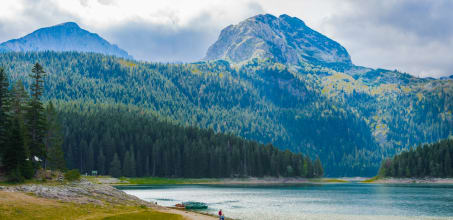 Helicopter & Wilderness Picnic Experience