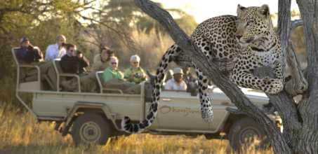 Leopard tracking at Okonjima