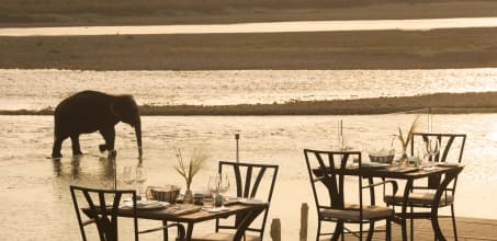 Meghauli Serai, Taj Safaris