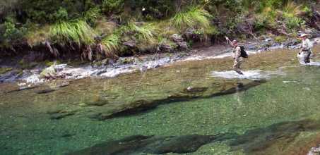 Fly Fishing Taupo - Privately Guided