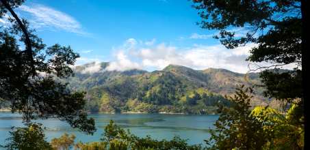 Private Guided Hike on Queen Charlotte Track