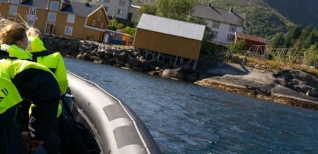 Lofoten Rib Boat Tour