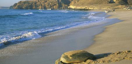 Ras al Jinz Turtle Reserve