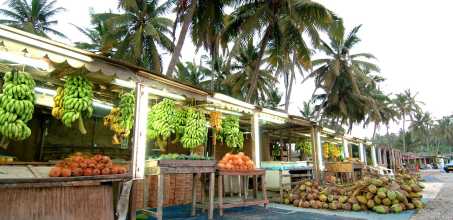 Half-day Salalah City Tour