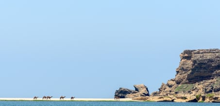 Jebel Safari Tour in the Dhofar Mountains