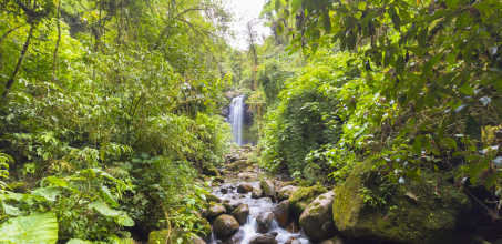 Boquete Cloud Forest waterfall hike