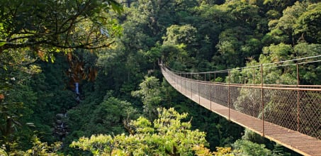 Boquete Hanging Bridges Tour