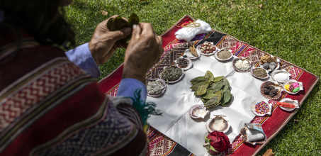 Tribute to Mother Earth