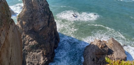 Coastal immersion therapy