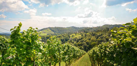 Exclusive Visit to Quinta do Vesuvio